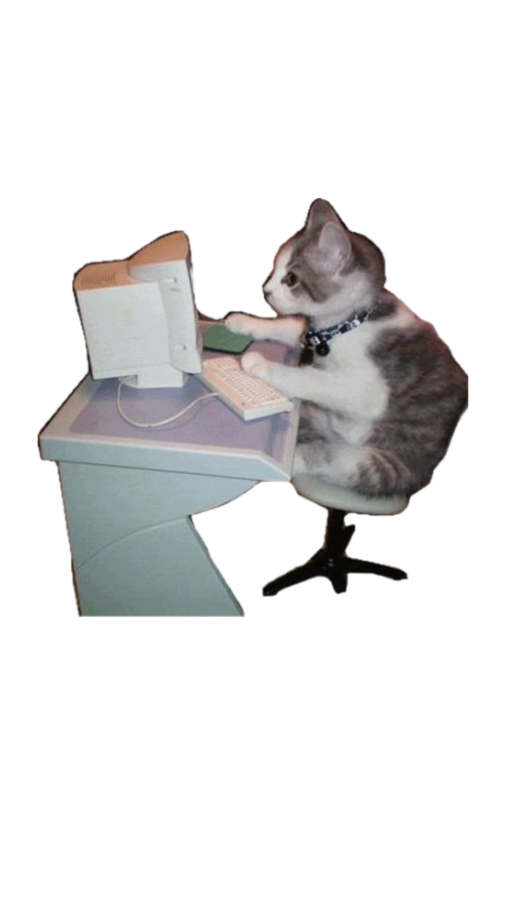 Cat working on projects