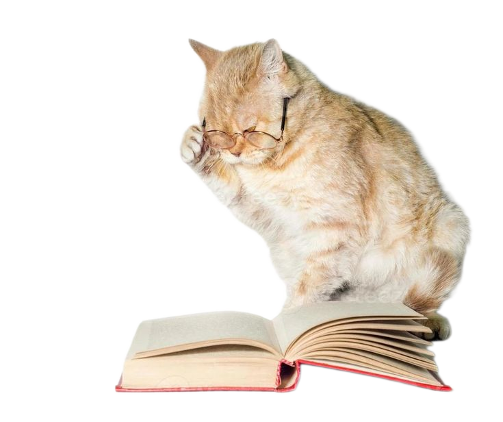 Cat reading a research paper